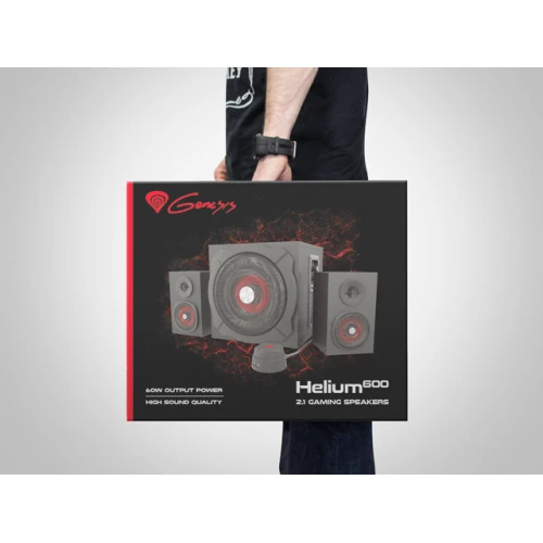 Głośniki 2.1 Genesis Helium 600 60W RMS