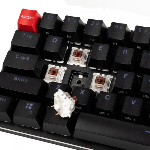 Klawiatura Glorious GMMK RGB Compact Gateron Brown