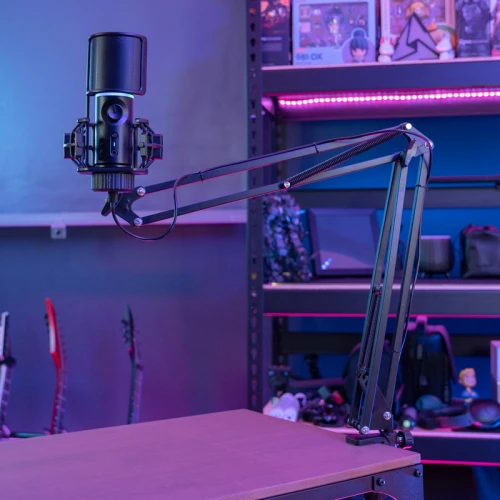 Mikrofon Streamplify MIC RGB Arm