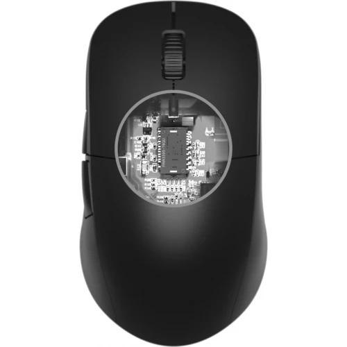 Mysz Endgame Gear XM2w Wireless Black