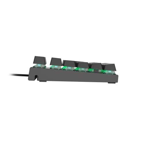 Klawiatura Genesis Thor 300 TKL Outemu Blue