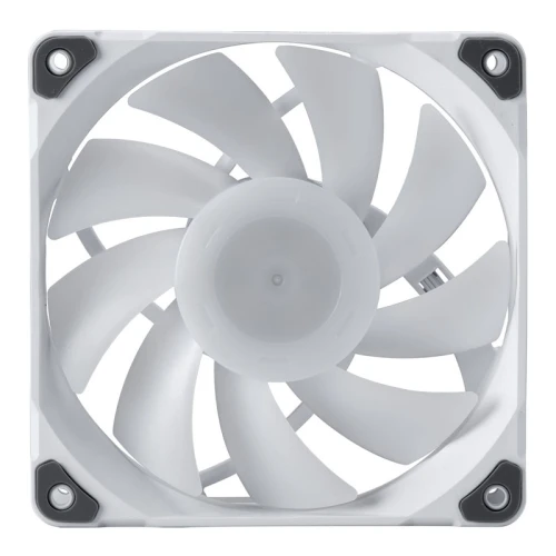 Wentylator Phanteks M25 D-RGB 120mm 3-pack White