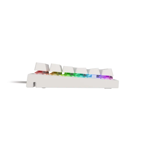 Klawiatura Genesis Thor 303 RGB Outemu Brown Biała Full-Size 