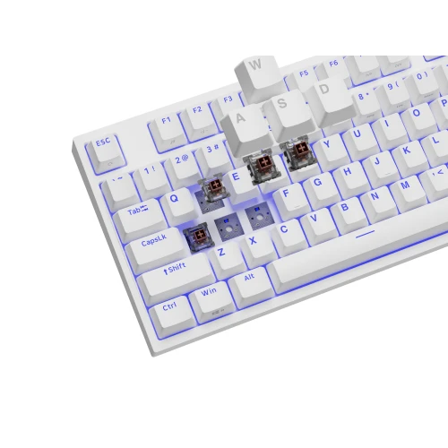 Klawiatura Genesis Thor 404 TKL RGB Kailh Box Brown Hot-Swap White