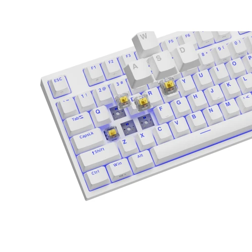 Klawiatura Genesis Thor 404 TKL RGB Gateron Yellow Pro Hot-Swap White