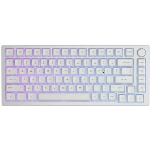 Klawiatura Glorious GMMK Pro White Ice 75% TKL RGB Barebone