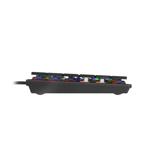 Klawiatura Genesis Thor 420 RGB Blue Switch Slim