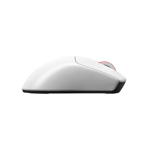 Mysz Monka Rapid Wireless Biała