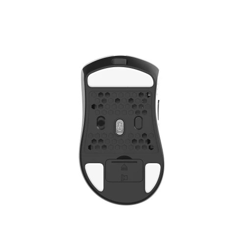 Mysz Monka Rapid Wireless Biała