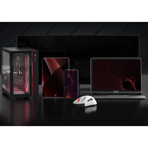 Mysz Monka Rapid Wireless Biała