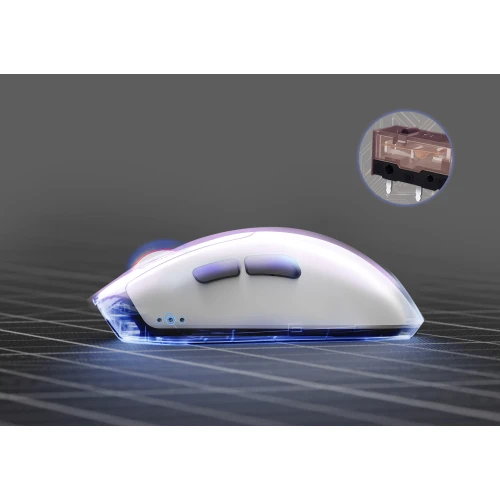 Mysz Monka Rapid Wireless Biała