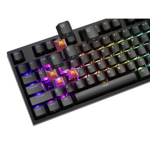 Klawiatura Genesis Thor 404 RGB Outemu Peach Silent Full-size