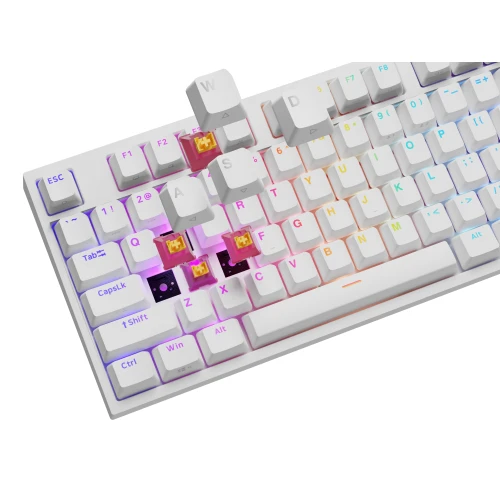 Klawiatura Genesis Thor 404 RGB Outemu Peach Silent Full-size White
