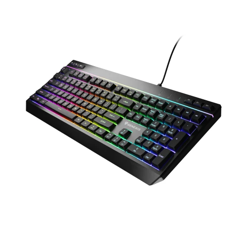 Klawiatura Genesis Rhod 530 RGB 