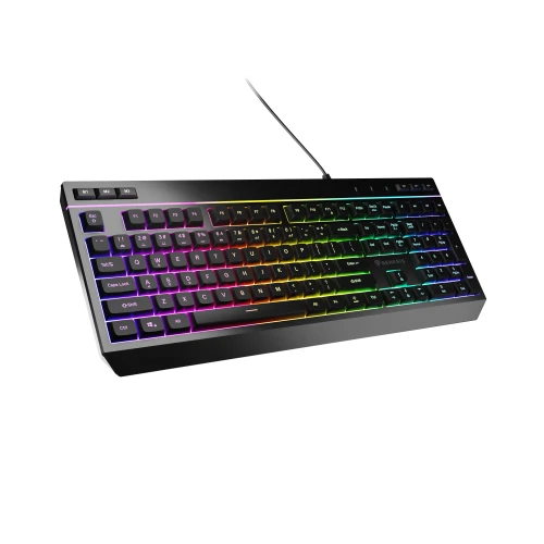 Klawiatura Genesis Rhod 530 RGB 