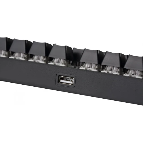 Klawiatura Preyon Long Claw RGB Gateron Brown Brown