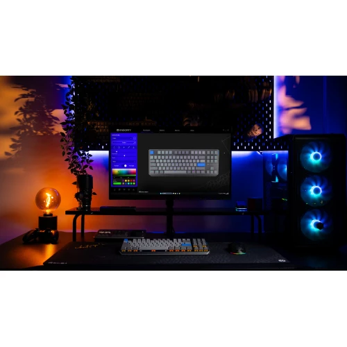 Klawiatura Endorfy Thock V2 TKL Wireless RGB Gateron Yellow