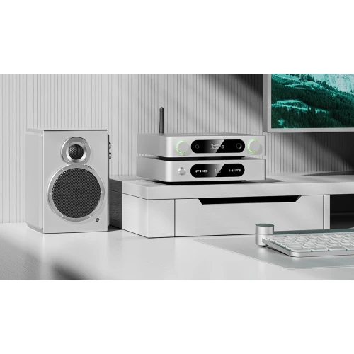 Wzmacniacz słuchawkowy FiiO K13 R2R DAC Silver 