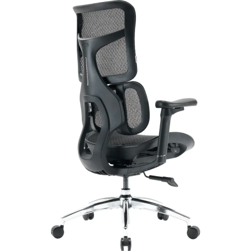 Fotel Sihoo DORO S100 Mesh Black