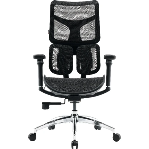 Fotel Sihoo DORO S100 Mesh Black