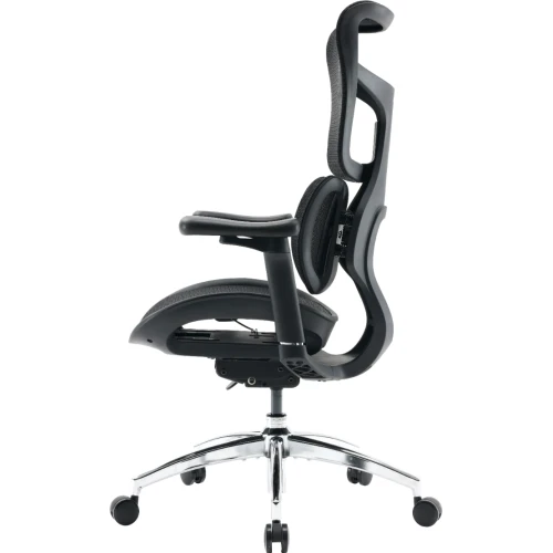 Fotel Sihoo DORO S100 Mesh Black