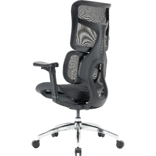 Fotel Sihoo DORO S100 Mesh Black