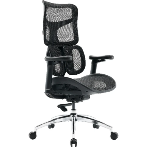 Fotel Sihoo DORO S100 Mesh Black