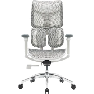Fotel Sihoo DORO S100 Mesh White