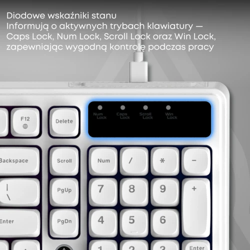 Klawiatura Ajazz AF98 Rainbow LED membranowa przewodowa biała