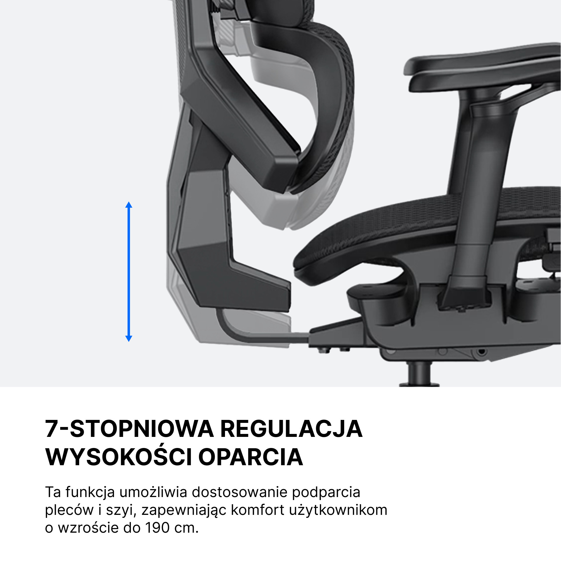 7-stopniowa regulacja wysokości oparcia