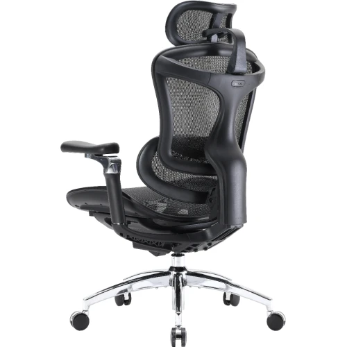 Fotel biurowy Sihoo DORO C300 Pro Mesh Black