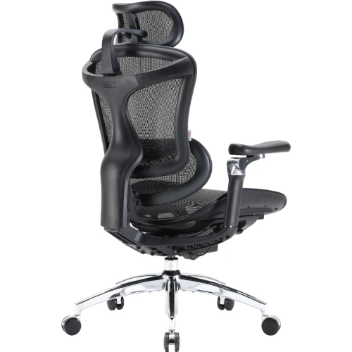 Fotel biurowy Sihoo DORO C300 Pro Mesh Black