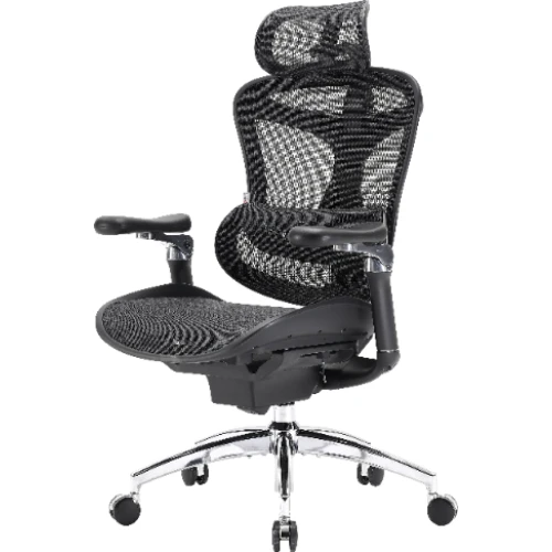 Fotel biurowy Sihoo DORO C300 Pro Mesh Black