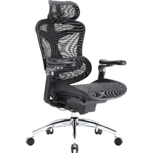 Fotel biurowy Sihoo DORO C300 Pro Mesh Black