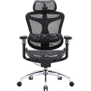 Fotel biurowy Sihoo DORO C300 Pro Mesh Black