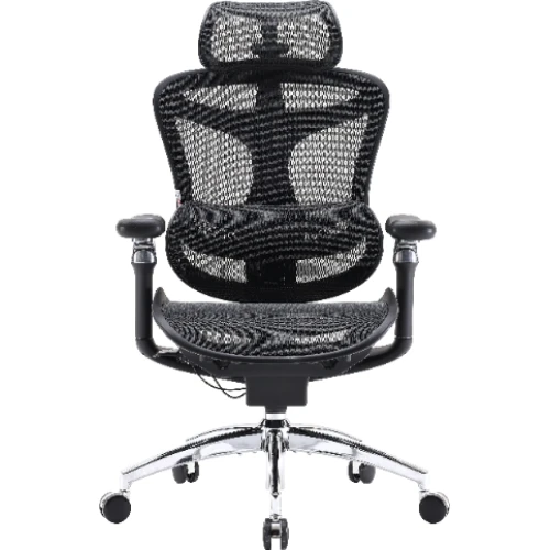 Fotel biurowy Sihoo DORO C300 Pro Mesh Black