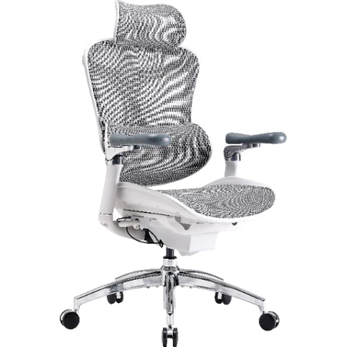 Fotel biurowy Sihoo DORO C300 Pro Mesh White
