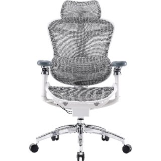 Fotel biurowy Sihoo DORO C300 Pro Mesh White