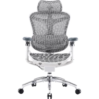 Fotel biurowy Sihoo DORO C300 Pro Mesh White