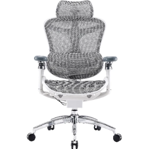 Fotel biurowy Sihoo DORO C300 Pro Mesh White