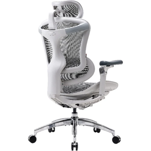 Fotel biurowy Sihoo DORO C300 Pro Mesh White