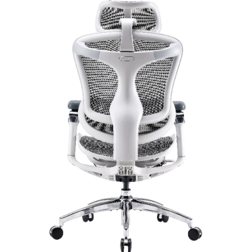 Fotel biurowy Sihoo DORO C300 Pro Mesh White