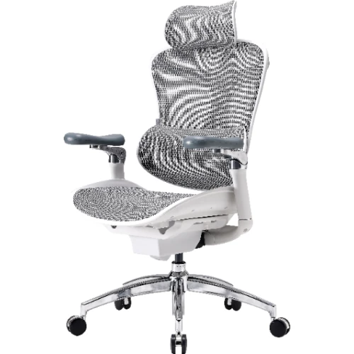 Fotel biurowy Sihoo DORO C300 Pro Mesh White