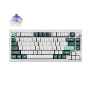 Klawiatura Keychron Q1 HE RGB Shell WHiteGateron Double-Rail Magnetic Nebula