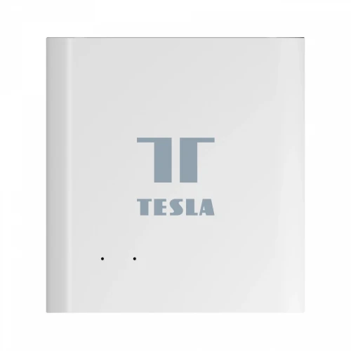 Tesla Smart Centrala bramka sterująca RJ45 Zigbee