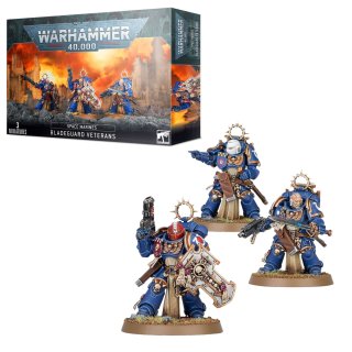 Warhammer 40000 Space Marines Bladegurad Veterans